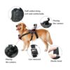 Dog Harness GoPro Mount