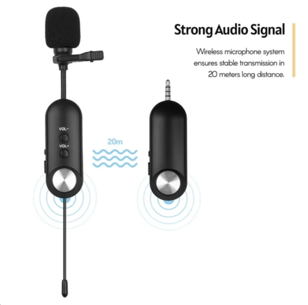 Professional Wireless Microphone System